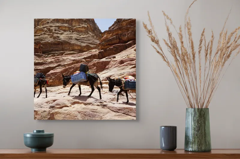 Tablou Canvas pe temă de Deșert și Alpinism, Caravana Măgarilor în Canion, 50 x 50 cm – poza 4