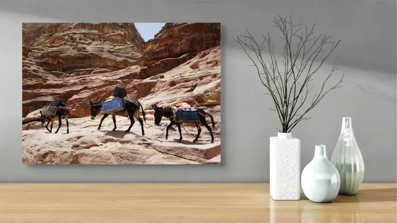 Tablou Canvas pe temă de Deșert și Alpinism, Caravana Măgarilor în Canion, 70 x 50 cm – poza 3