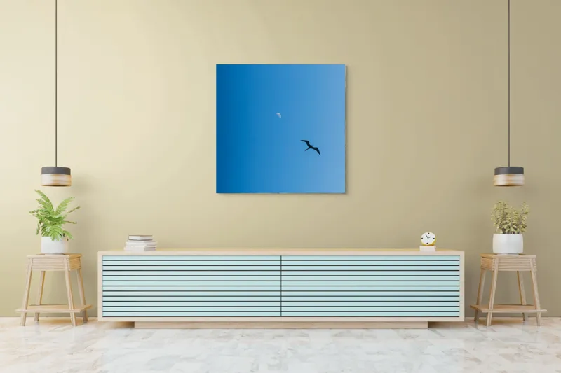 Tablou Canvas Pasăre zburând spre lună albă Cer Albastru Zbor Siluetă, 100 x 100 cm – poza 5
