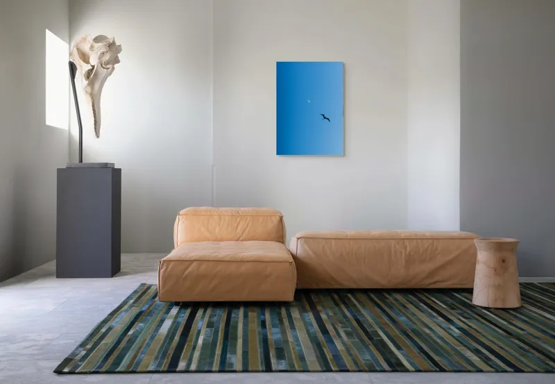Tablou Canvas Pasăre zburând spre lună albă Cer Albastru Zbor Siluetă, 50 x 70 cm – poza 7