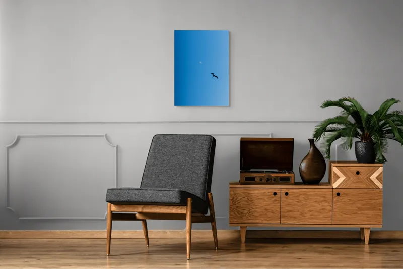 Tablou Canvas Pasăre zburând spre lună albă Cer Albastru Zbor Siluetă, 50 x 70 cm – poza 8