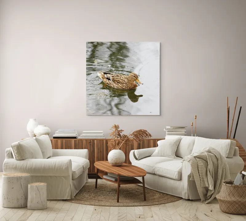 Tablou Canvas, "Rața plutește pe oglinda apei", Rață, Apă, Reflecție, Plutire, Natură, Pene, Lac, Liniște, 100 x 100 cm – poza 3