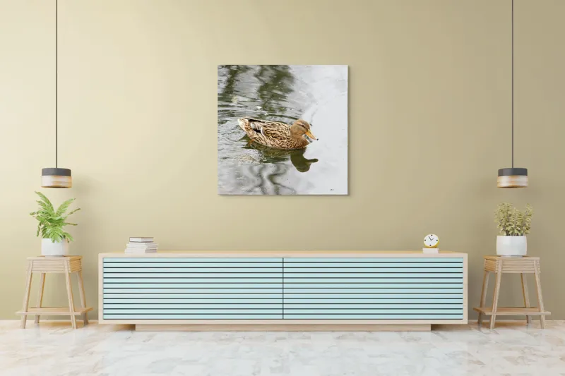 Tablou Canvas, "Rața plutește pe oglinda apei", Rață, Apă, Reflecție, Plutire, Natură, Pene, Lac, Liniște, 100 x 100 cm – poza 5