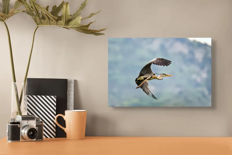 Tablou Canvas, "Zborul elegant al stârcului cenușiu", Zbor, Eleganță, Grație, Natură, Măreție, Libertate, Păsări, Cer, Aripi, Frumusețe, 39 x 26 cm – poza 3