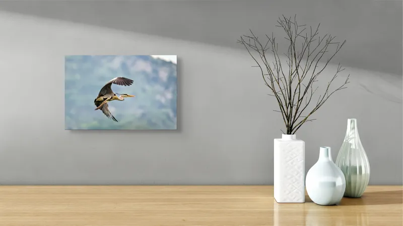 Tablou Canvas, "Zborul elegant al stârcului cenușiu", Zbor, Eleganță, Grație, Natură, Măreție, Libertate, Păsări, Cer, Aripi, Frumusețe, 39 x 26 cm – poza 8
