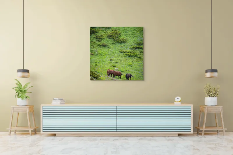 Tablou Canvas, "Cai păscând pe un deal verde", Verdeață, Cai, Dealuri, Floricele, Natură, Pășune, Liniște, Slove, Seninătate., 100 x 100 cm – poza 5