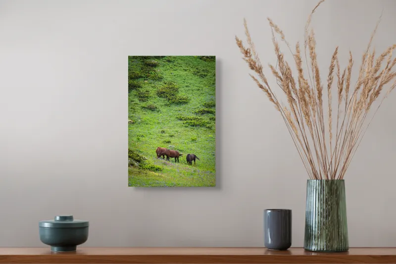 Tablou Canvas, "Cai păscând pe un deal verde", Verdeață, Cai, Dealuri, Floricele, Natură, Pășune, Liniște, Slove, Seninătate., 26 x 39 cm – poza 5