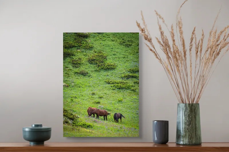 Tablou Canvas, "Cai păscând pe un deal verde", Verdeață, Cai, Dealuri, Floricele, Natură, Pășune, Liniște, Slove, Seninătate., 39 x 54 cm – poza 3