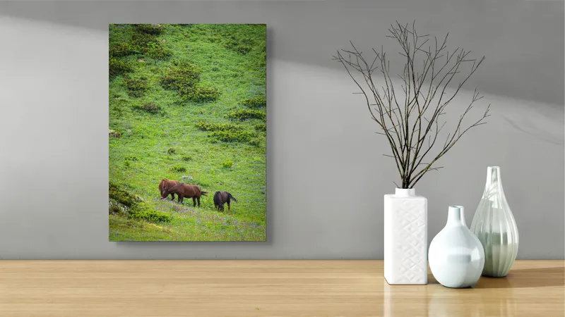 Tablou Canvas, "Cai păscând pe un deal verde", Verdeață, Cai, Dealuri, Floricele, Natură, Pășune, Liniște, Slove, Seninătate., 39 x 54 cm – poza 4
