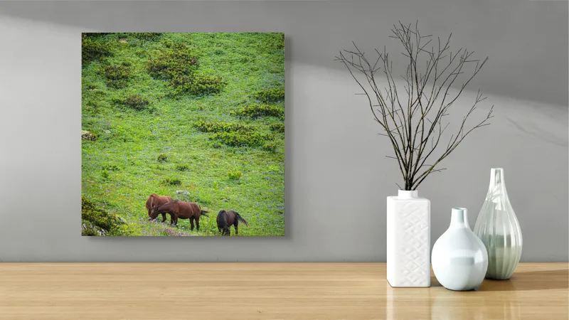 Tablou Canvas, "Cai păscând pe un deal verde", Verdeață, Cai, Dealuri, Floricele, Natură, Pășune, Liniște, Slove, Seninătate., 50 x 50 cm – poza 3