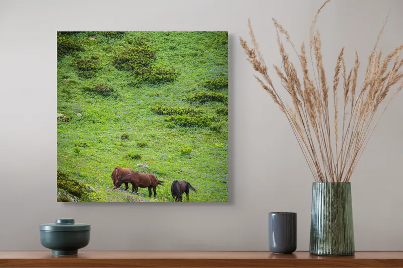 Tablou Canvas, "Cai păscând pe un deal verde", Verdeață, Cai, Dealuri, Floricele, Natură, Pășune, Liniște, Slove, Seninătate., 50 x 50 cm – poza 4