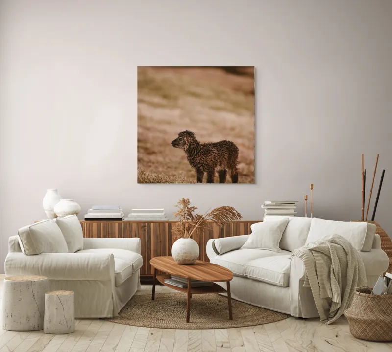 Tablou Canvas, "Miel singuratic pe câmpie aurie", Nisip, Blană, Natură, Singurătate, Miel, Apus, Iarbă, Căldură, 100 x 100 cm – poza 3