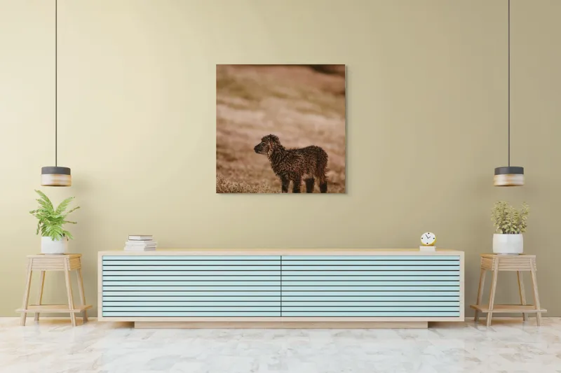 Tablou Canvas, "Miel singuratic pe câmpie aurie", Nisip, Blană, Natură, Singurătate, Miel, Apus, Iarbă, Căldură, 100 x 100 cm – poza 5