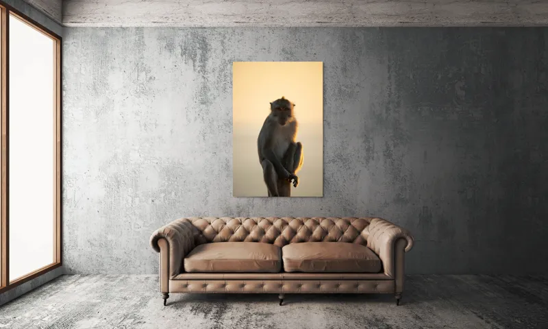 Tablou Canvas, "Maimuță contemplativă în lumina amurgului", Maimuță, Apus, Siluetă, Lumină, Coloană, Relaxare, Natură, Calm, Privește, Serenitate, 100 x 150 cm – poza 6