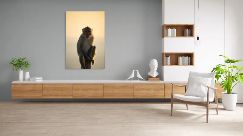 Tablou Canvas, "Maimuță contemplativă în lumina amurgului", Maimuță, Apus, Siluetă, Lumină, Coloană, Relaxare, Natură, Calm, Privește, Serenitate, 100 x 150 cm – poza 8