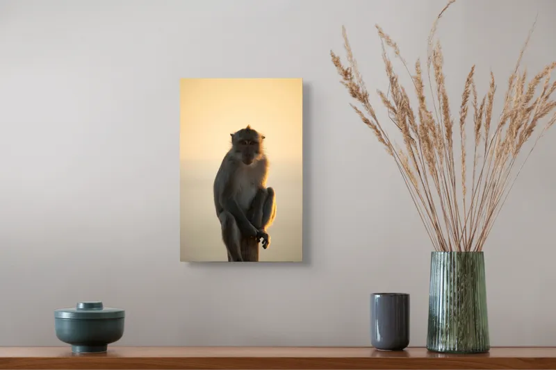 Tablou Canvas, "Maimuță contemplativă în lumina amurgului", Maimuță, Apus, Siluetă, Lumină, Coloană, Relaxare, Natură, Calm, Privește, Serenitate, 26 x 39 cm – poza 5