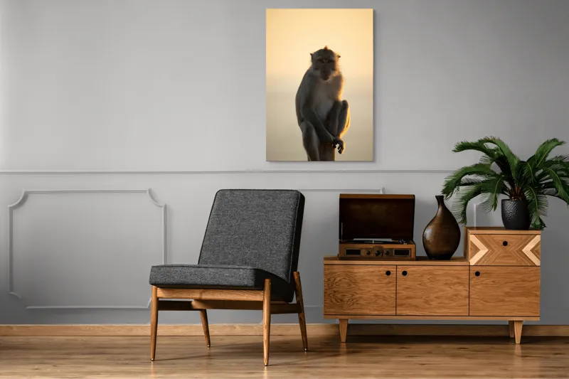 Tablou Canvas, "Maimuță contemplativă în lumina amurgului", Maimuță, Apus, Siluetă, Lumină, Coloană, Relaxare, Natură, Calm, Privește, Serenitate, 70 x 100 cm – poza 6