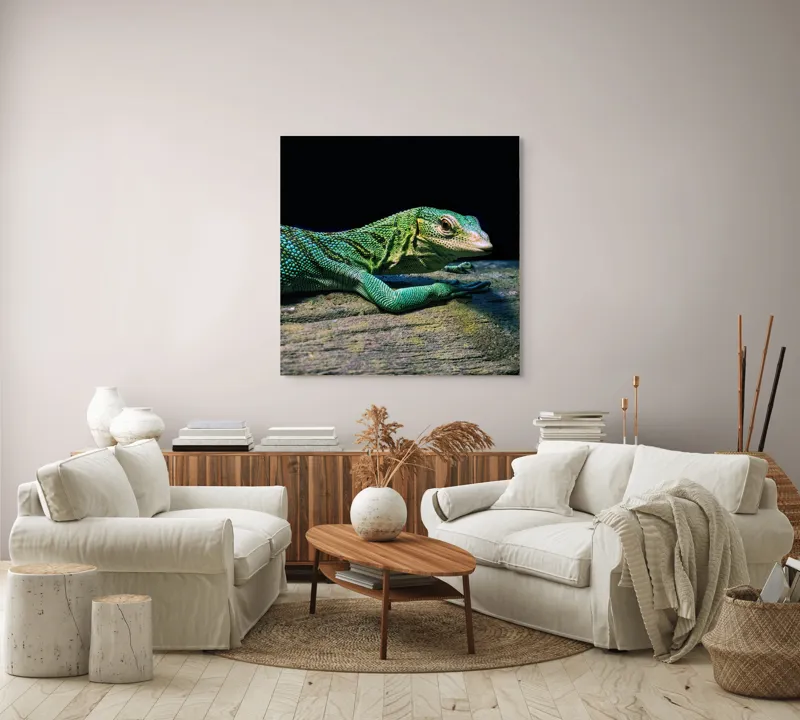 Tablou Canvas, "Șopârla în așteptarea soarelui dimineții", Șopârlă, Verde, Sol, Textură, Scări, Ochi, Natură, Relaxare, Viețuitoare, Mediu, 100 x 100 cm – poza 3