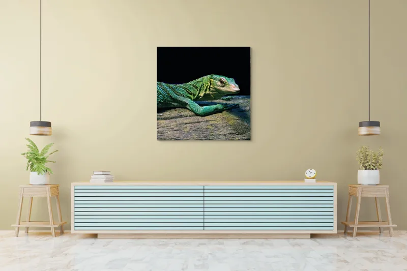 Tablou Canvas, "Șopârla în așteptarea soarelui dimineții", Șopârlă, Verde, Sol, Textură, Scări, Ochi, Natură, Relaxare, Viețuitoare, Mediu, 100 x 100 cm – poza 5
