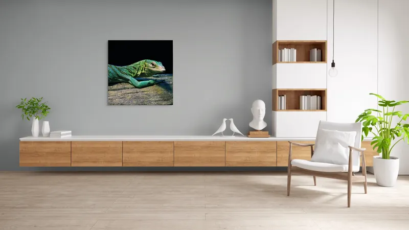 Tablou Canvas, "Șopârla în așteptarea soarelui dimineții", Șopârlă, Verde, Sol, Textură, Scări, Ochi, Natură, Relaxare, Viețuitoare, Mediu, 100 x 100 cm – poza 8