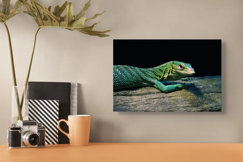Tablou Canvas, "Șopârla în așteptarea soarelui dimineții", Șopârlă, Verde, Sol, Textură, Scări, Ochi, Natură, Relaxare, Viețuitoare, Mediu, 39 x 26 cm – poza 3