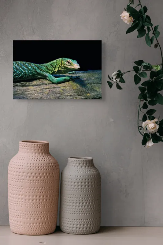 Tablou Canvas, "Șopârla în așteptarea soarelui dimineții", Șopârlă, Verde, Sol, Textură, Scări, Ochi, Natură, Relaxare, Viețuitoare, Mediu, 39 x 26 cm – poza 4