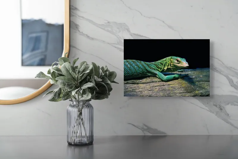 Tablou Canvas, "Șopârla în așteptarea soarelui dimineții", Șopârlă, Verde, Sol, Textură, Scări, Ochi, Natură, Relaxare, Viețuitoare, Mediu, 39 x 26 cm – poza 5