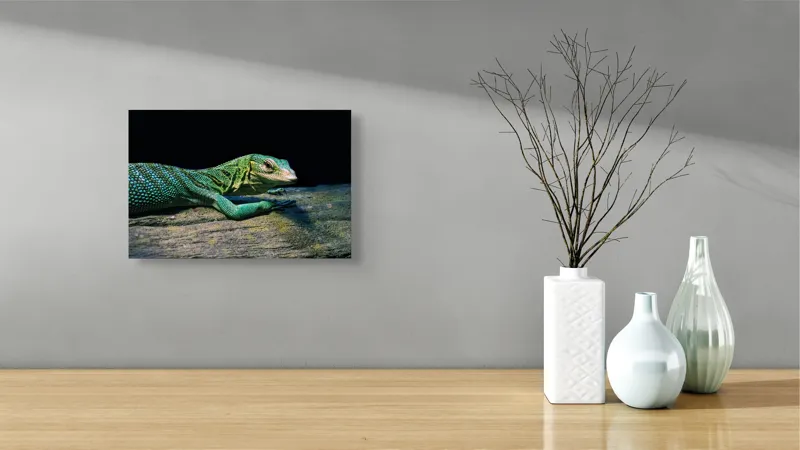 Tablou Canvas, "Șopârla în așteptarea soarelui dimineții", Șopârlă, Verde, Sol, Textură, Scări, Ochi, Natură, Relaxare, Viețuitoare, Mediu, 39 x 26 cm – poza 8