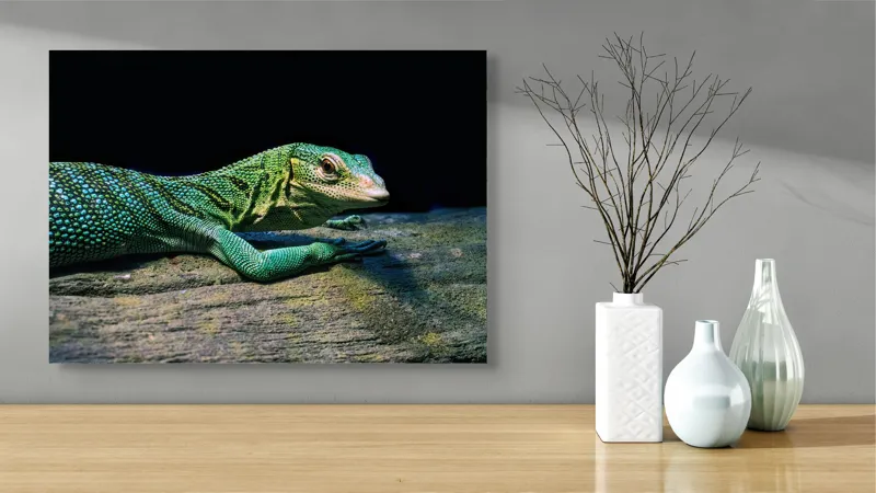 Tablou Canvas, "Șopârla în așteptarea soarelui dimineții", Șopârlă, Verde, Sol, Textură, Scări, Ochi, Natură, Relaxare, Viețuitoare, Mediu, 70 x 50 cm – poza 3