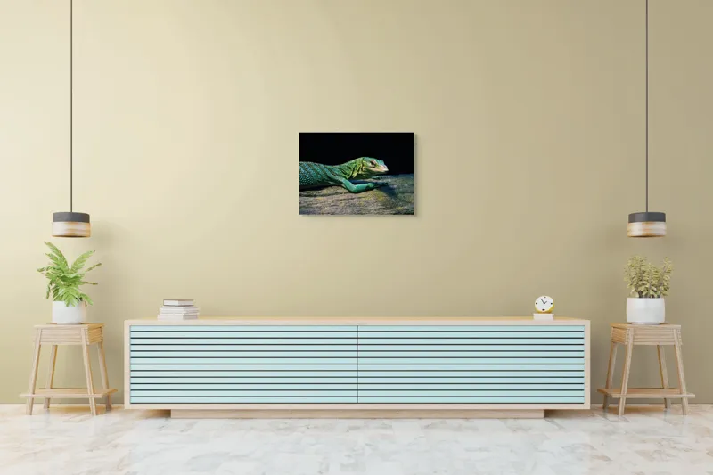 Tablou Canvas, "Șopârla în așteptarea soarelui dimineții", Șopârlă, Verde, Sol, Textură, Scări, Ochi, Natură, Relaxare, Viețuitoare, Mediu, 70 x 50 cm – poza 7
