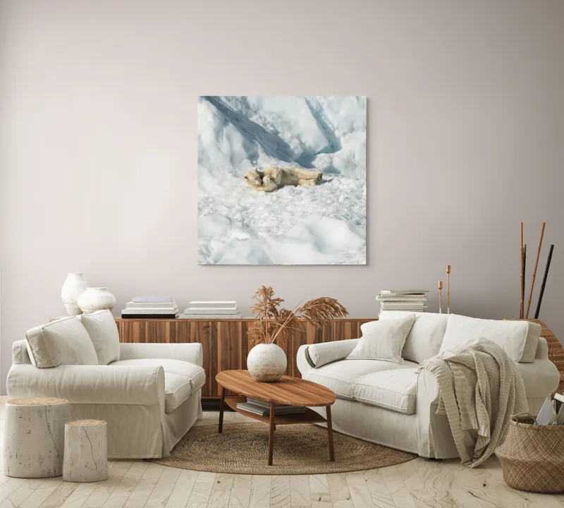 Tablou Canvas, "Urși polari jucându-se pe zăpadă.", Urs, Zăpadă, Ghețar, Alb, Liniște, Natură, Rece, Arctic, 100 x 100 cm – poza 3