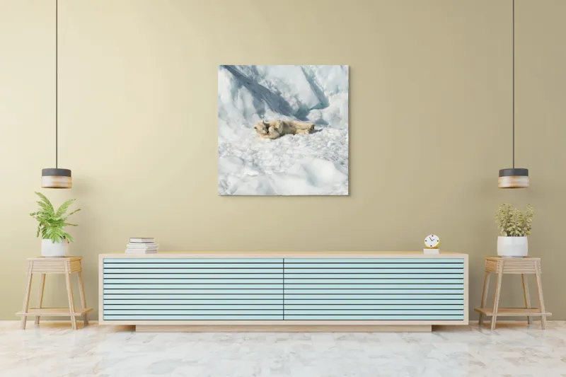 Tablou Canvas, "Urși polari jucându-se pe zăpadă.", Urs, Zăpadă, Ghețar, Alb, Liniște, Natură, Rece, Arctic, 100 x 100 cm – poza 5