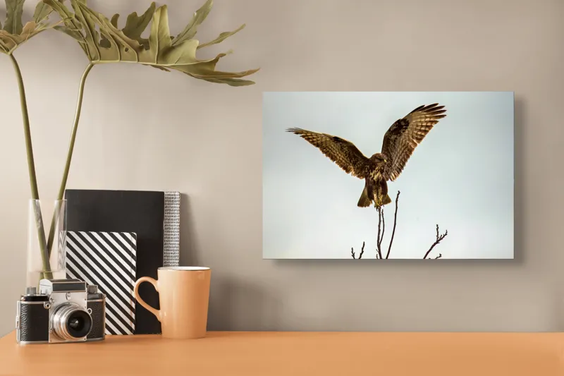 Tablou Canvas, "Uriașul cerului înaripat survolând pădurea", Vultur, Aripi, Zbor, Cer, Crengi, Panoramic, Libertate, Natură, 39 x 26 cm – poza 3