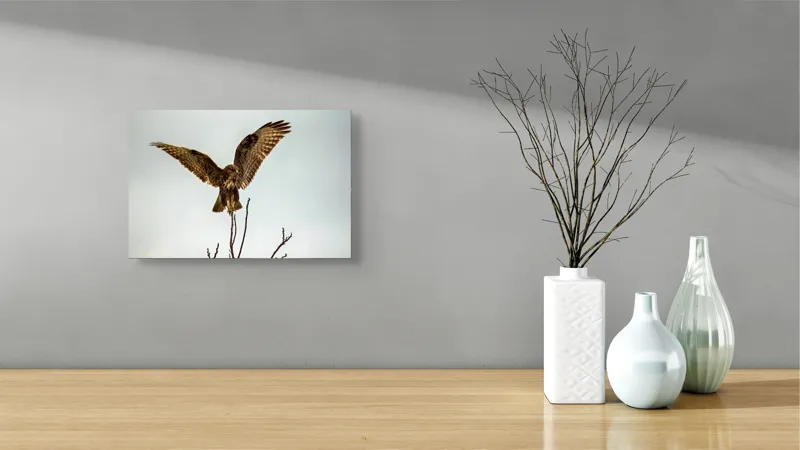 Tablou Canvas, "Uriașul cerului înaripat survolând pădurea", Vultur, Aripi, Zbor, Cer, Crengi, Panoramic, Libertate, Natură, 39 x 26 cm – poza 8