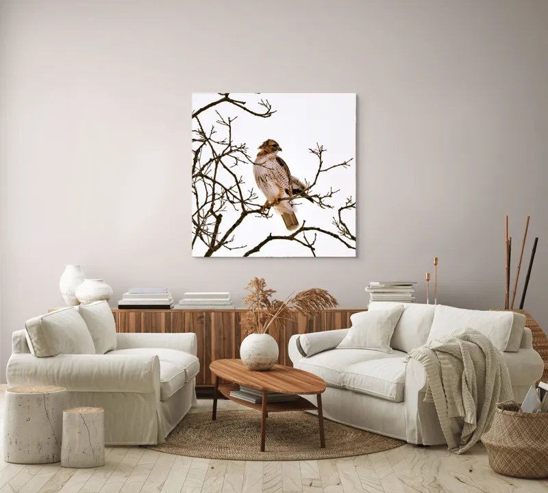 Tablou Canvas, "Vulturul pe ramuri uscate iarna", Majestic, Hawk, Perched, Bare, Branches, Observant, Sky, Silent, Still, Nature, 100 x 100 cm – poza 3