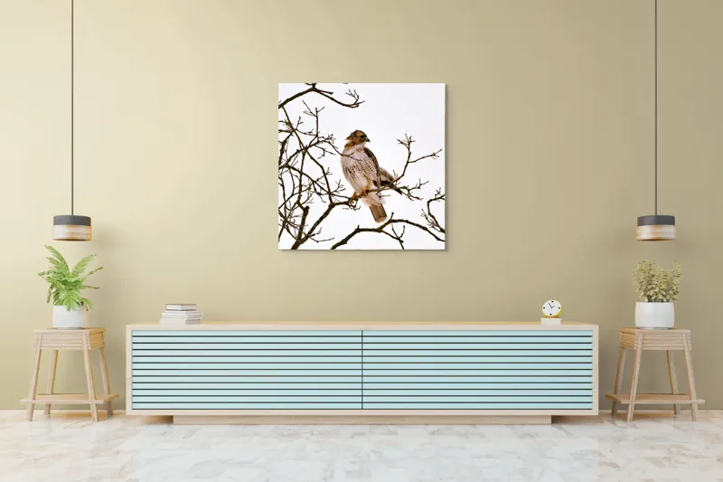 Tablou Canvas, "Vulturul pe ramuri uscate iarna", Majestic, Hawk, Perched, Bare, Branches, Observant, Sky, Silent, Still, Nature, 100 x 100 cm – poza 5