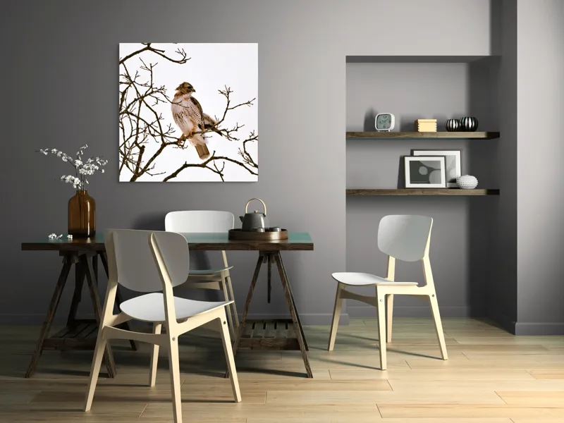Tablou Canvas, "Vulturul pe ramuri uscate iarna", Majestic, Hawk, Perched, Bare, Branches, Observant, Sky, Silent, Still, Nature, 100 x 100 cm – poza 6