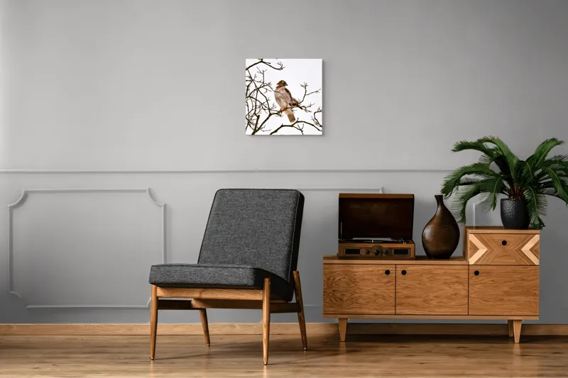 Tablou Canvas, "Vulturul pe ramuri uscate iarna", Majestic, Hawk, Perched, Bare, Branches, Observant, Sky, Silent, Still, Nature, 50 x 50 cm – poza 6