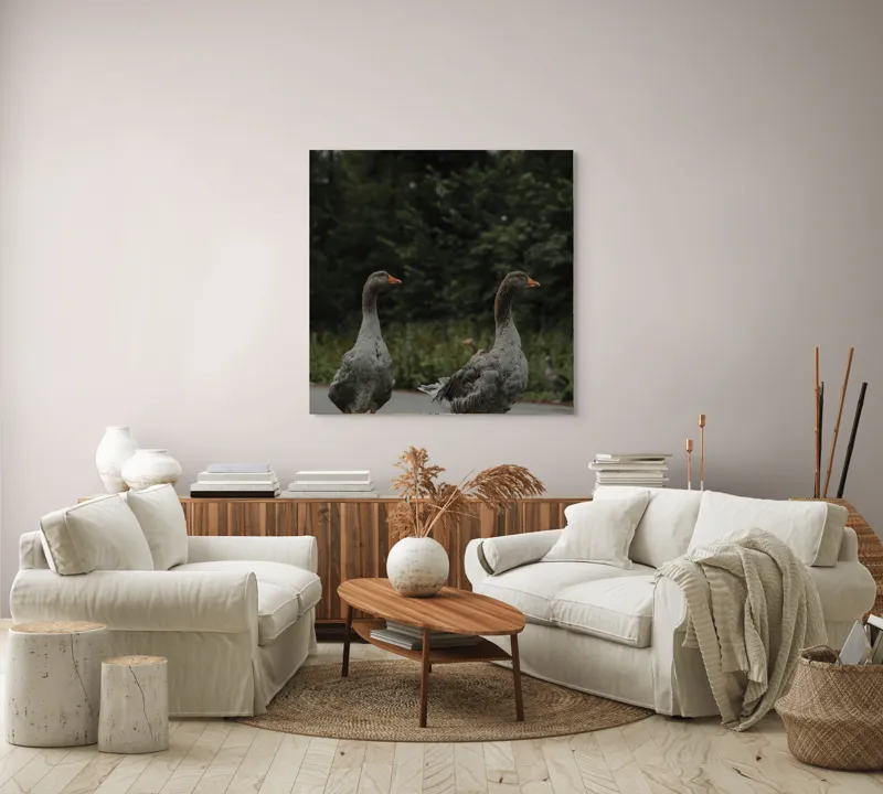 Tablou Canvas, "Doi gâște la marginea pădurii", Gâște, Verdeață, Drum, Natură, Pene, Bețe Portocalii, Copaci, Parc., 100 x 100 cm – poza 3
