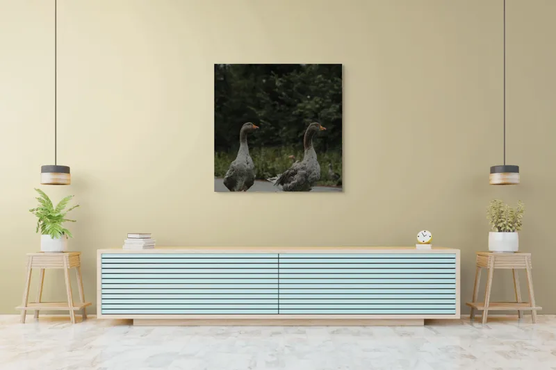 Tablou Canvas, "Doi gâște la marginea pădurii", Gâște, Verdeață, Drum, Natură, Pene, Bețe Portocalii, Copaci, Parc., 100 x 100 cm – poza 5