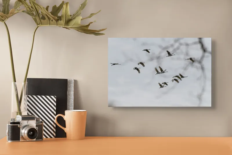 Tablou Canvas, "Dansul cocorilor sub cer înnorat", Zbor, Libertate, Cer, Păsări, Linie, Aripi, Dans, Grație, Natură, Vise, 39 x 26 cm – poza 3