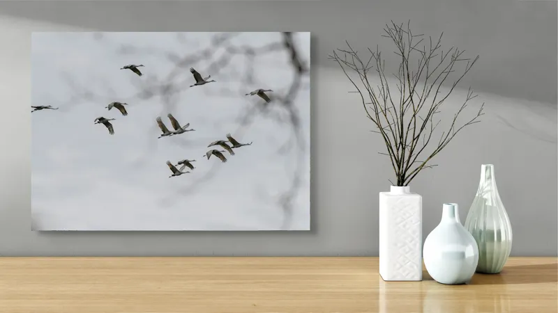 Tablou Canvas, "Dansul cocorilor sub cer înnorat", Zbor, Libertate, Cer, Păsări, Linie, Aripi, Dans, Grație, Natură, Vise, 70 x 50 cm – poza 3