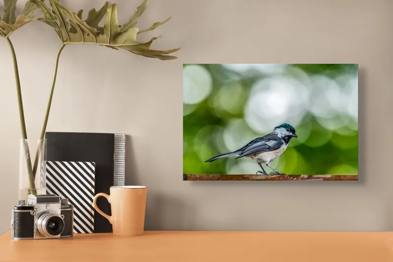 Tablou Canvas, "Mic pian al pădurii senine", Pasăre, Ramură, Verdeață, Bokeh, Delicatețe, Natură, Zburătoare, 39 x 26 cm – poza 3