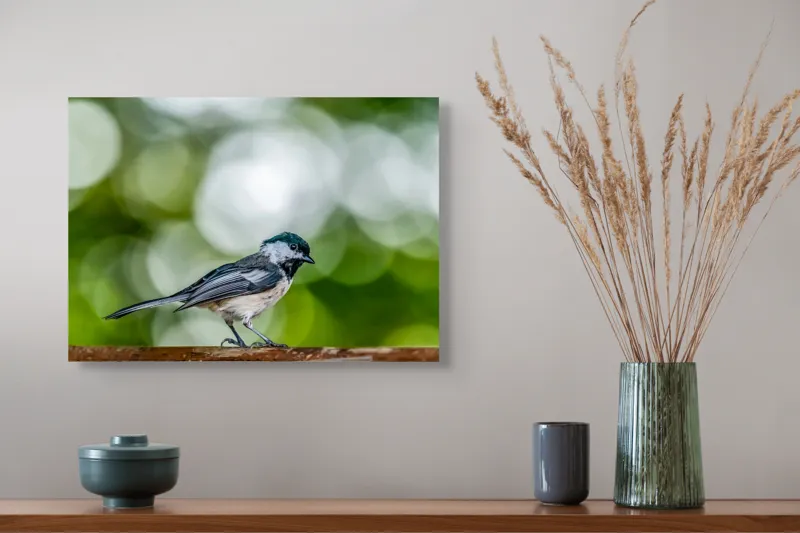Tablou Canvas, "Mic pian al pădurii senine", Pasăre, Ramură, Verdeață, Bokeh, Delicatețe, Natură, Zburătoare, 54 x 39 cm – poza 4