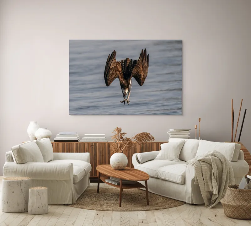 Tablou Canvas, "Vulturul la vânătoare în zbor", Zbor, Pescăruș, Prindere, Imersiune, Natură, Aripi, Păsare, Dinamică, 150 x 100 cm – poza 3
