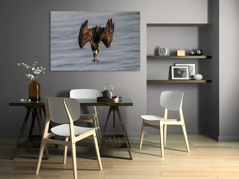 Tablou Canvas, "Vulturul la vânătoare în zbor", Zbor, Pescăruș, Prindere, Imersiune, Natură, Aripi, Păsare, Dinamică, 150 x 100 cm – poza 5
