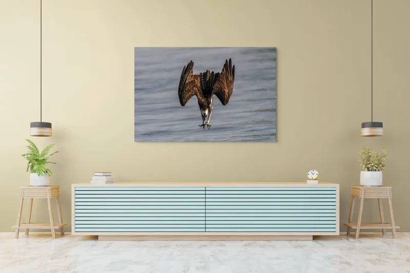 Tablou Canvas, "Vulturul la vânătoare în zbor", Zbor, Pescăruș, Prindere, Imersiune, Natură, Aripi, Păsare, Dinamică, 150 x 100 cm – poza 6