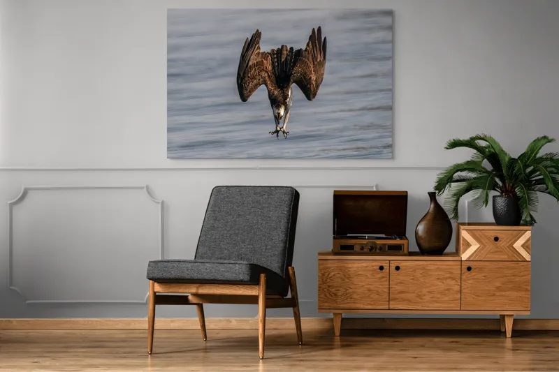 Tablou Canvas, "Vulturul la vânătoare în zbor", Zbor, Pescăruș, Prindere, Imersiune, Natură, Aripi, Păsare, Dinamică, 150 x 100 cm – poza 8