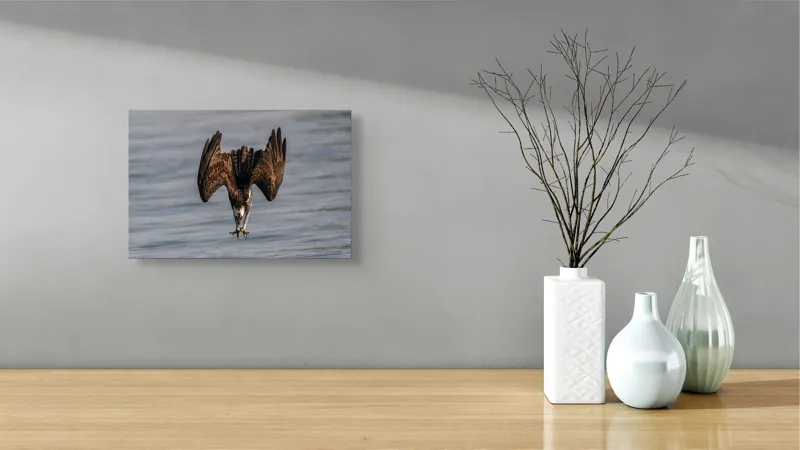 Tablou Canvas, "Vulturul la vânătoare în zbor", Zbor, Pescăruș, Prindere, Imersiune, Natură, Aripi, Păsare, Dinamică, 39 x 26 cm – poza 8