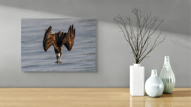 Tablou Canvas, "Vulturul la vânătoare în zbor", Zbor, Pescăruș, Prindere, Imersiune, Natură, Aripi, Păsare, Dinamică, 54 x 39 cm – poza 3